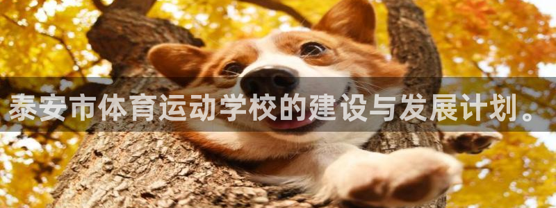 欧亿体育官方正版app集团：泰安市体育运动学校的建设