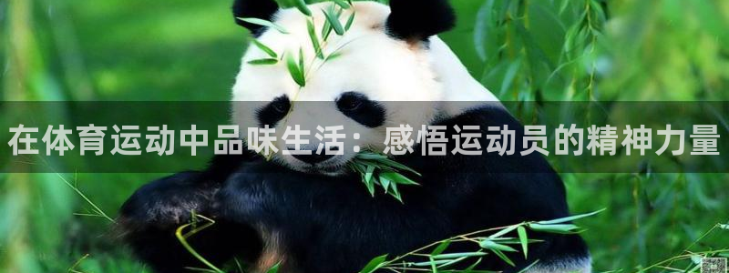 oety欧亿体育官网下载平台：在体育运动中品味生活：