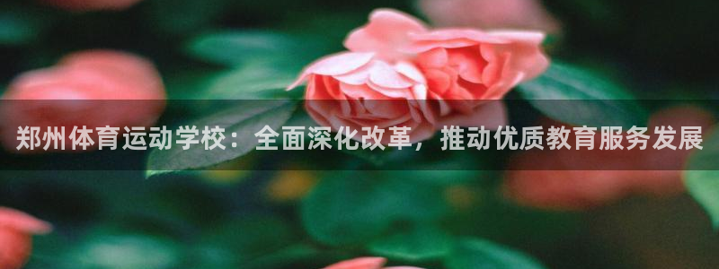 oety欧亿体育官网下载平台注册流程图：郑州体育运动