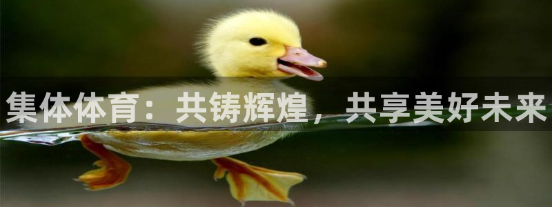 欧亿体育官方正版app娱乐平台：集体体育：共铸辉煌，共享美好