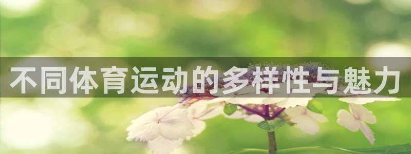 欧亿体育官方正版app娱乐代理怎么样：不同体育运动的多样性与