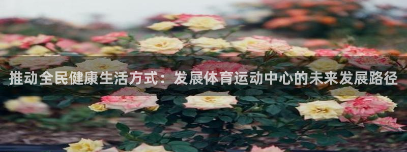 oety欧亿体育官网下载注册：推动全民健康生活方式：发展体育