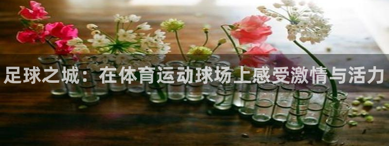 oety欧亿体育官网下载平台注册要钱吗是真的吗：足球之城：在