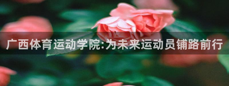 欧亿体育官方正版app娱乐是那个系列的台子：广西体育