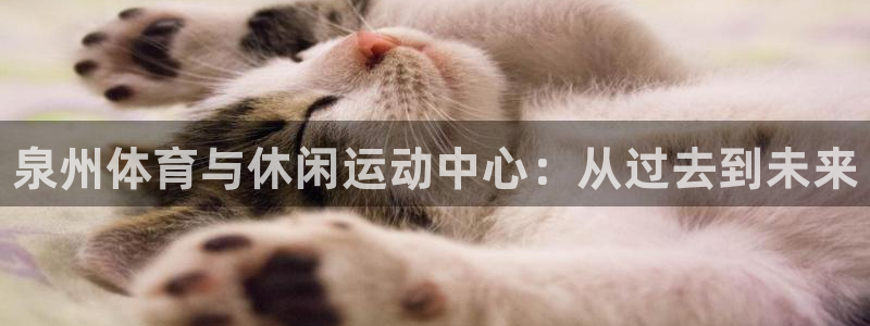 oety欧亿体育官网下载平台注册流程视频：泉州体育与休闲运动