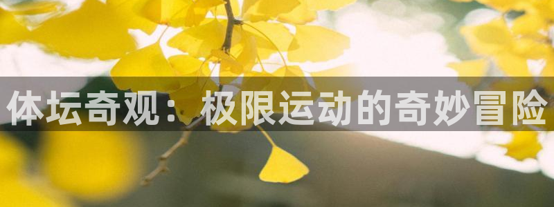 oety欧亿体育官网下载平台注册流程图：体坛奇观：极限运动的