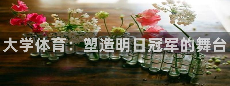 oety欧亿体育官网下载娱乐：大学体育：塑造明日冠军的舞台