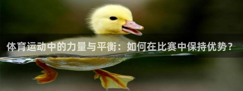 oety欧亿体育官网下载招商电话是多少：体育运动中的力量与平