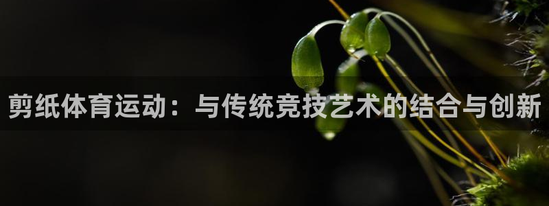 欧亿体育官方正版app官网：剪纸体育运动：与传统竞技