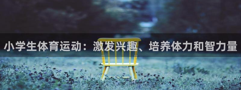 欧亿体育官方正版app娱乐代理怎么样：小学生体育运动