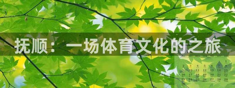 欧亿体育官方集团官网：抚顺：一场体育文化的之旅