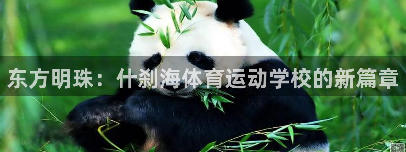 oety欧亿体育官网下载是干嘛的公司:东方明珠:什刹海体育运