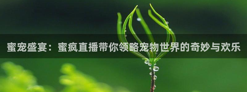 蜘蛛直播nba免费观看篮球