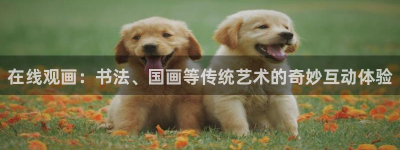 jrs直播nba(无插件)直播蜘蛛直播