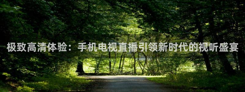 蜘蛛直播体育nba直播在线：极致高清体验：手机电视直播引领新时代的视听盛宴