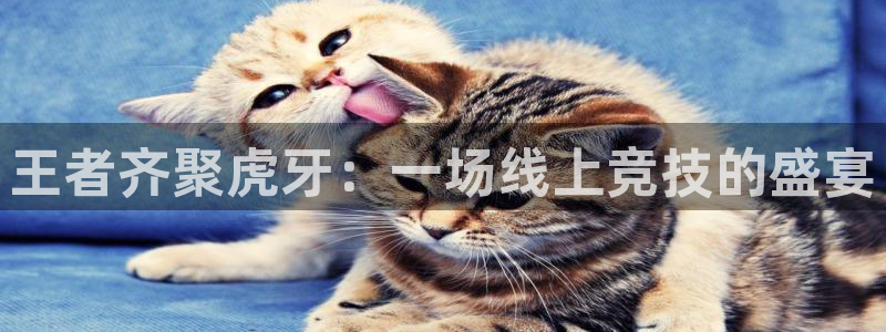 蜘蛛直播nba直播在线直播：王者齐聚虎牙：一场线上竞技的盛宴