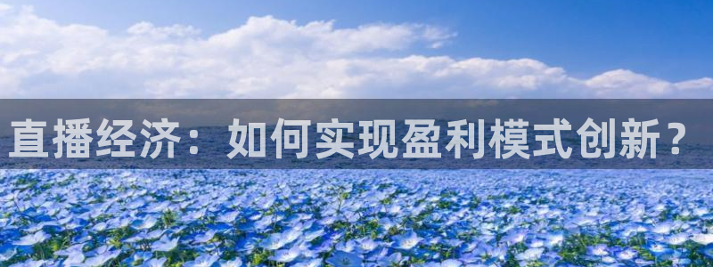 蜘蛛直播nba在线观看