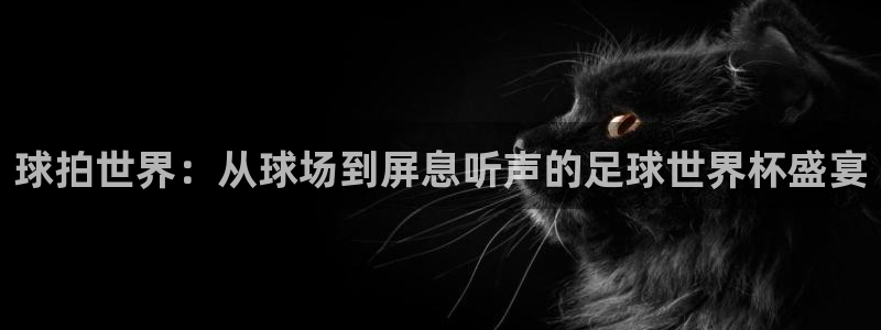 nba直播蜘蛛直播：球拍世界：从球场到屏息听声的足球世界杯盛宴